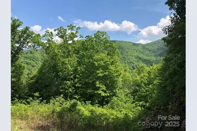 Lots 61 and  62 Wildwood Drive, Burnsville, NC 28714 - Photo 19