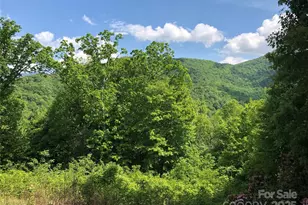 Lots 61 and 62 Wildwood Dr, Burnsville, NC 28714 - Photo 19