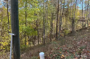 Lots 61 and 62 Wildwood Dr, Burnsville, NC 28714 - Photo 23