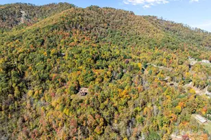 Lots 61 and 62 Wildwood Dr, Burnsville, NC 28714 - Photo 11