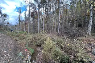 362 Melton Branch Rd, Bakersville, NC 28705 - Photo 29