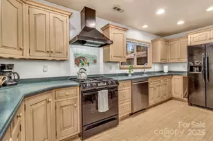 111 Hidden Pond Ln, Asheville, NC 28804 - Photo 9