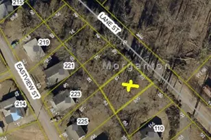 106 Lane St, Morganton, NC 28655 - Photo 19