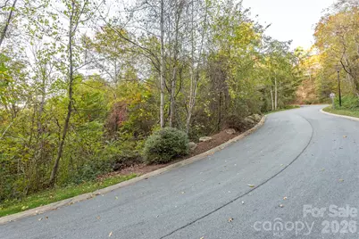 510 Sweetspire Ridge, Asheville, NC 28804 - Photo 17