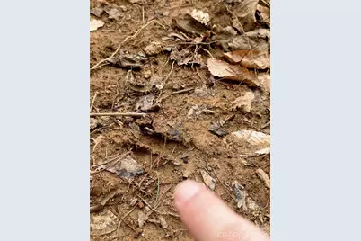 2800 Snipes Street #3, Morganton, NC 28655 - Photo 29