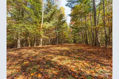 3314 Reserve Road, Pisgah Forest, NC 28768 - Photo 13