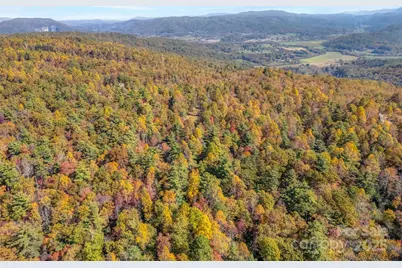 3314 Reserve Road, Pisgah Forest, NC 28768 - Photo 21