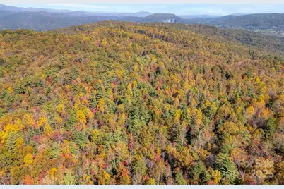 3314 Reserve Road, Pisgah Forest, NC 28768 - Photo 23