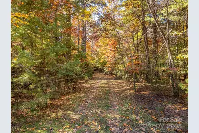 3314 Reserve Road, Pisgah Forest, NC 28768 - Photo 7