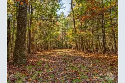 3314 Reserve Road, Pisgah Forest, NC 28768 - Photo 11