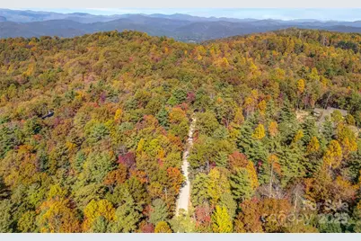 3314 Reserve Road, Pisgah Forest, NC 28768 - Photo 5