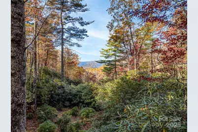 3314 Reserve Road, Pisgah Forest, NC 28768 - Photo 15