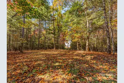 3314 Reserve Road, Pisgah Forest, NC 28768 - Photo 3