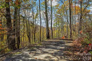 499 E Poplar Dr, Hendersonville, NC 28792 - Photo 39