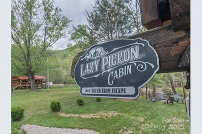 9386 Cruso Road, Canton, NC 28716 - Photo 3