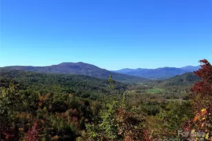 452 Wilderness Dr, Marion, NC 28752 - Photo 15