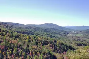 452 Wilderness Dr, Marion, NC 28752 - Photo 3