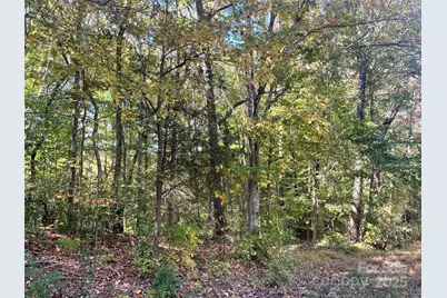 237 Lamplighter Lane, Mount Holly, NC 28120 - Photo 3