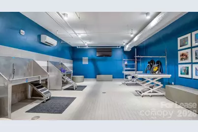 650 E Brooklyn Village Avenue #B3, Charlotte, NC 28202 - Photo 23