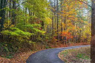 51 & 61 Rice Branch Rd, Asheville, NC 28804 - Photo 45