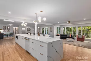 51 & 61 Rice Branch Rd, Asheville, NC 28804 - Photo 11