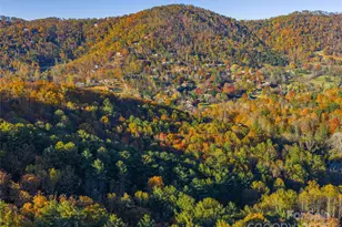 51 & 61 Rice Branch Rd, Asheville, NC 28804 - Photo 41