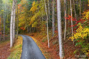 51 & 61 Rice Branch Rd, Asheville, NC 28804 - Photo 47