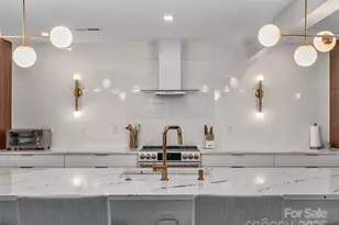 51 & 61 Rice Branch Rd, Asheville, NC 28804 - Photo 9