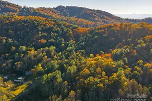 51 & 61 Rice Branch Rd, Asheville, NC 28804 - Photo 43