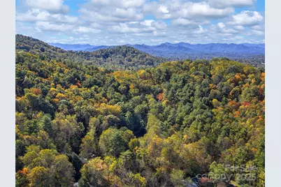51 & 61 Rice Branch Road, Asheville, NC 28804 - Photo 39