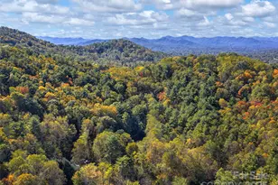 51 & 61 Rice Branch Rd, Asheville, NC 28804 - Photo 39