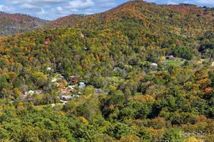 51 & 61 Rice Branch Rd, Asheville, NC 28804 - Photo 37