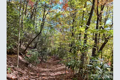 0 Mack Luke Road #6, Whittier, NC 28789 - Photo 13