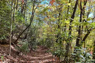 0 Mack Luke Rd, Whittier, NC 28789 - Photo 13