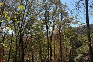 0 Mack Luke Rd, Whittier, NC 28789 - Photo 19