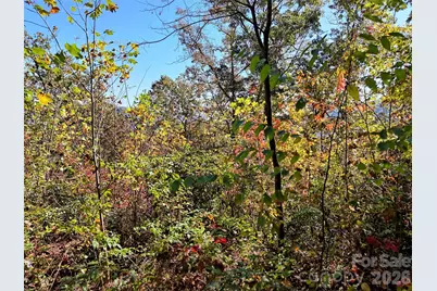 0 Mack Luke Road #6, Whittier, NC 28789 - Photo 9