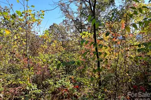 0 Mack Luke Rd, Whittier, NC 28789 - Photo 9