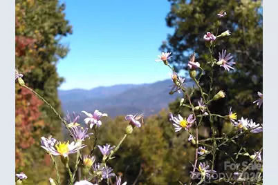 0 Mack Luke Road #6, Whittier, NC 28789 - Photo 15