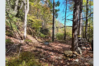 0 Mack Luke Road #6, Whittier, NC 28789 - Photo 3