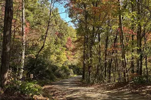 00 Mack Luke Rd, Whittier, NC 28789 - Photo 15