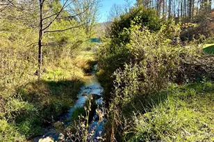 208 Murdock Rd, Bakersville, NC 28705 - Photo 29
