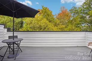 2242 Electric Ln, Charlotte, NC 28205 - Photo 35