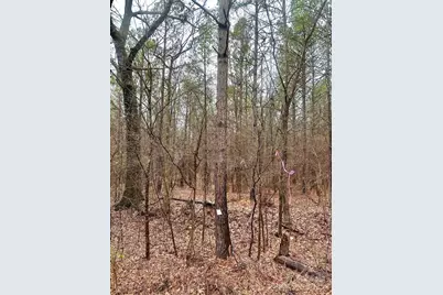 1176 Great Falls Highway, Chester, SC 29706 - Photo 1