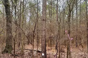 1176 Great Falls Hwy, Chester, SC 29706 - Photo 1