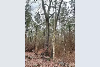 1176 Great Falls Highway, Chester, SC 29706 - Photo 3