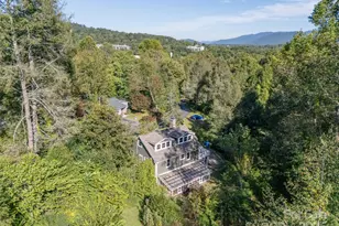 103 Aurora Dr, Asheville, NC 28805 - Photo 39