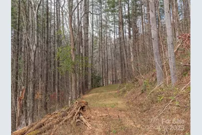 11 Freshwater Cove, Maggie Valley, NC 28751 - Photo 11