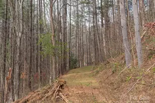 11 Freshwater Cove, Maggie Valley, NC 28751 - Photo 11