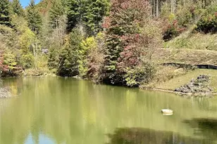 11 Freshwater Cove, Maggie Valley, NC 28751 - Photo 5