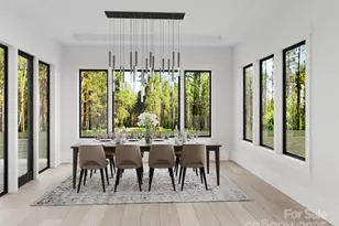 87 Mont Clair Trail, Horse Shoe, NC 28742 - Photo 5